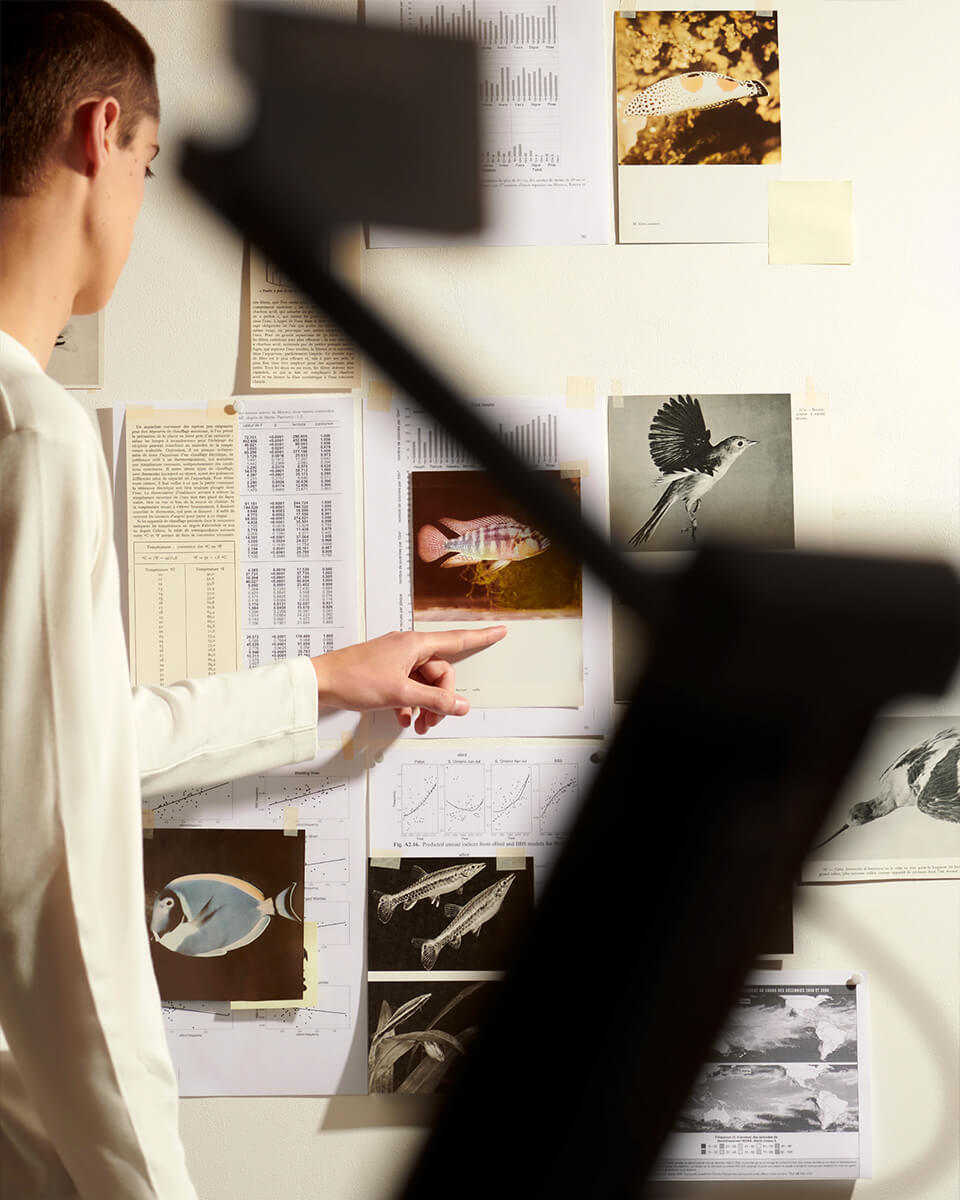 product learnMore intro docam 03 2 b