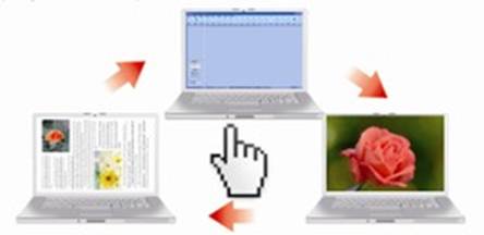 document camera Images composition