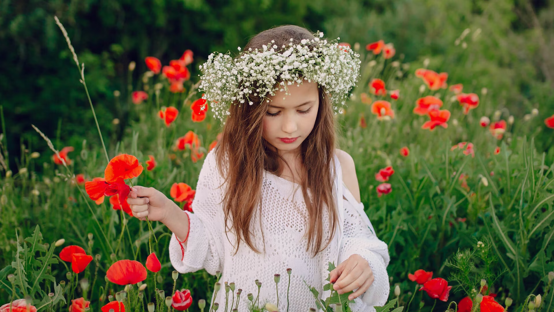 9 benq portable cinema projector