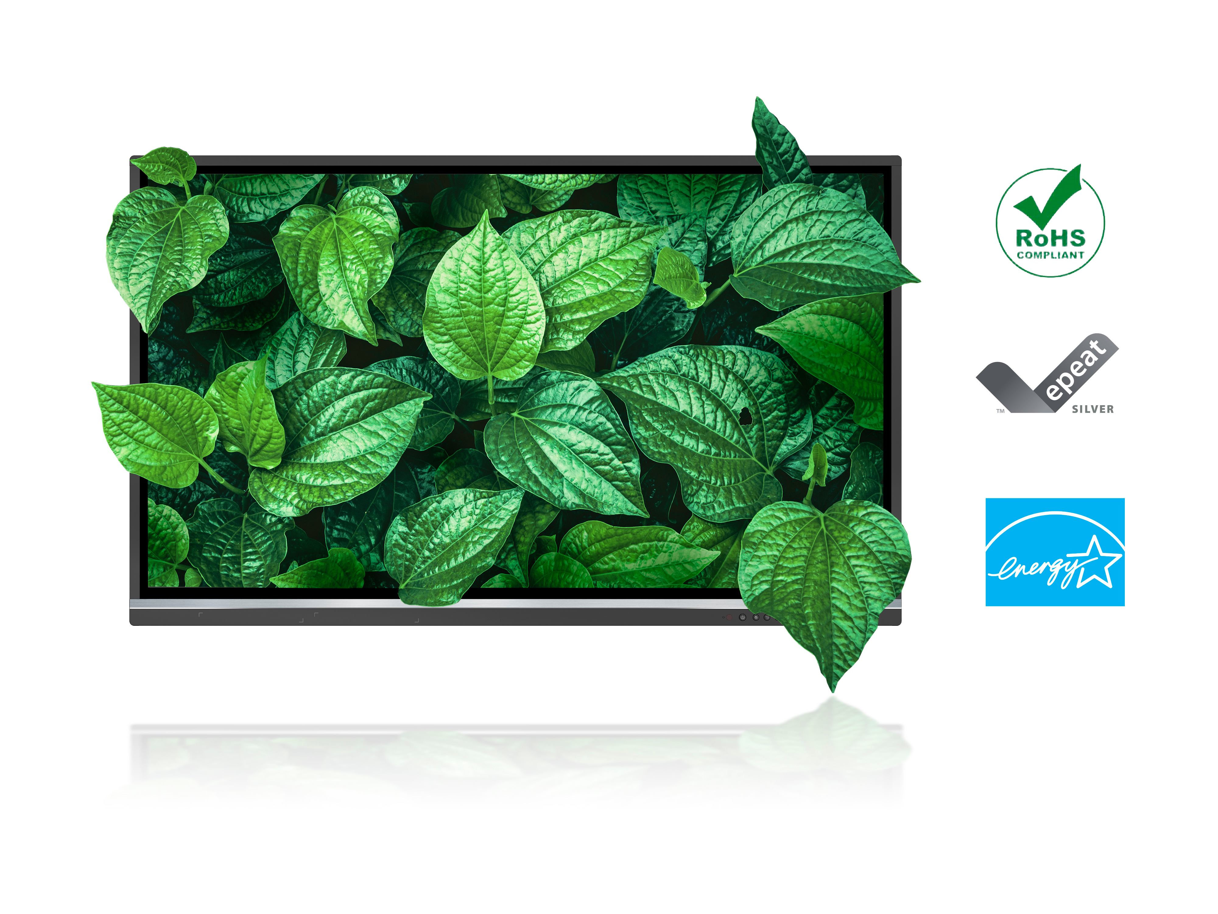 10 viewsonic interactive panel display