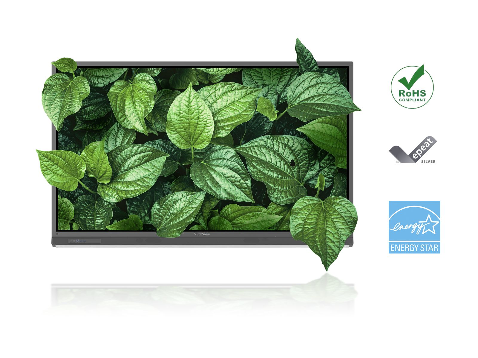 21 viewsonic interactive panel display