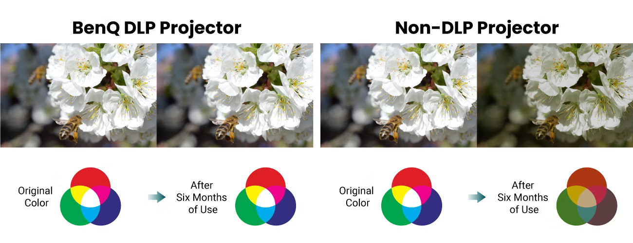 26 benq projector education