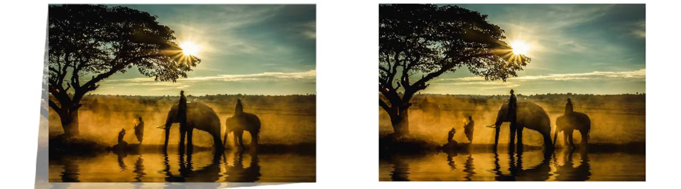 12 benq projector education