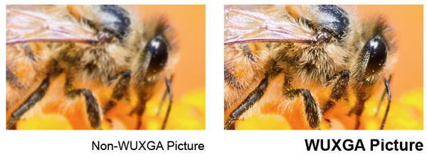 3 benq projector meeting