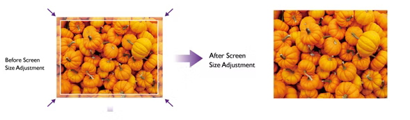 9 benq projector for schools