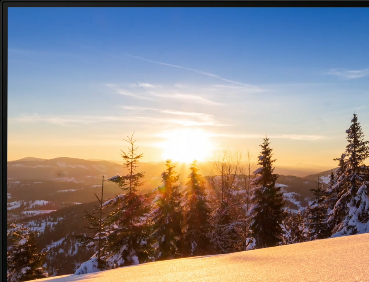 25 designer monitor benq PD2506Q