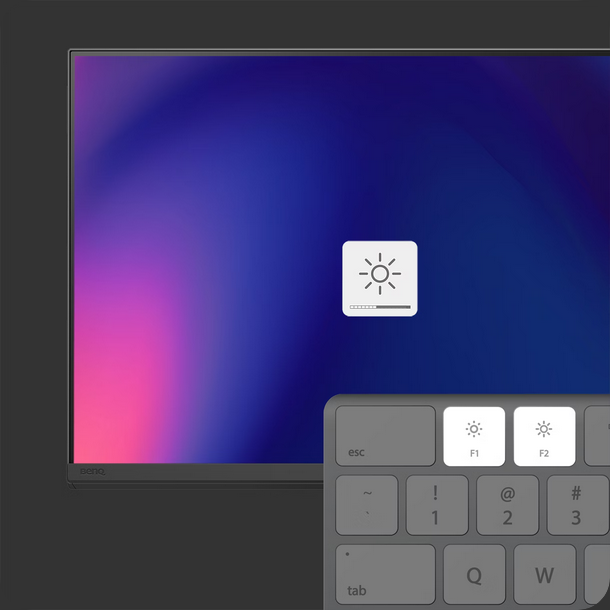 19 monitor for designers benq PD2730S