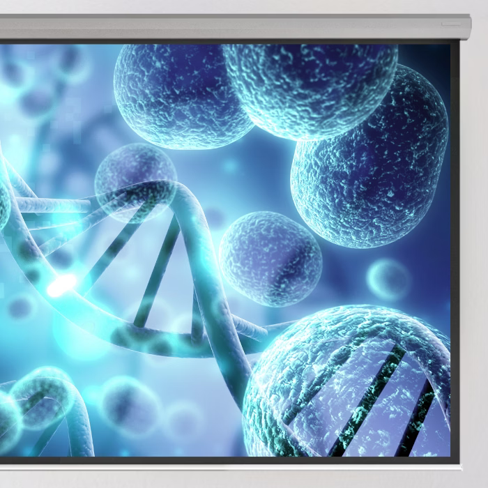 5 benq installation projector