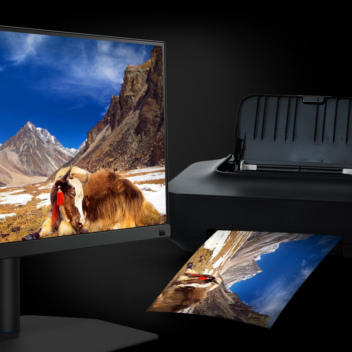 14 benq monitor photo SW272U