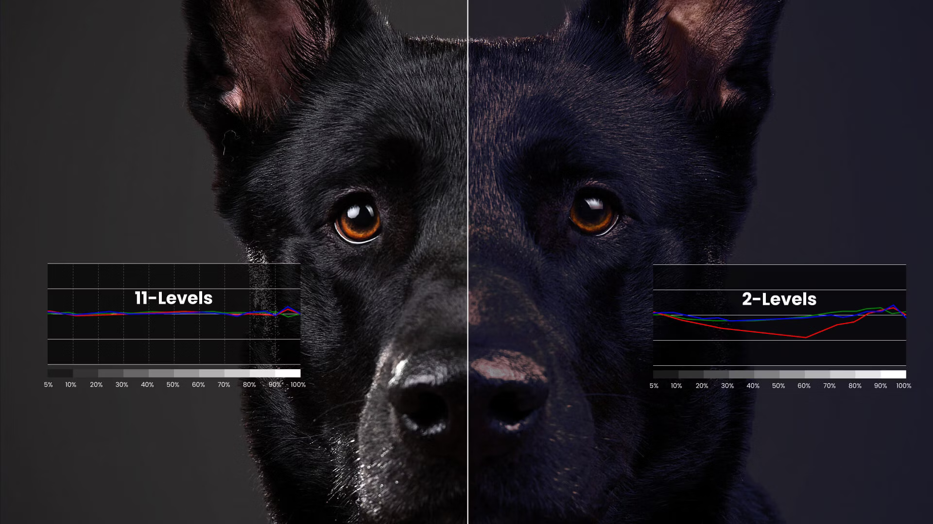 16 benq short throw projector