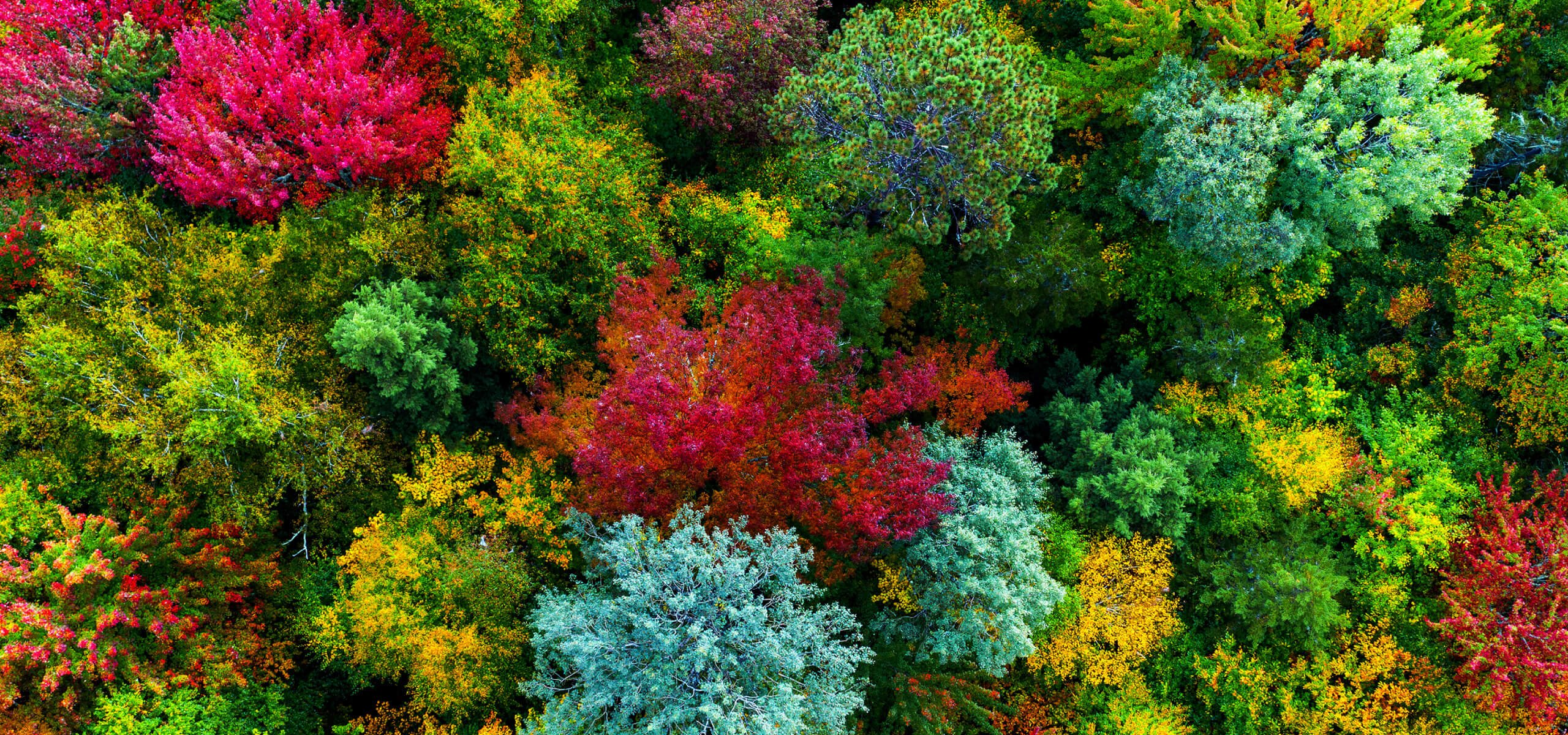 7 benq projector home cinema