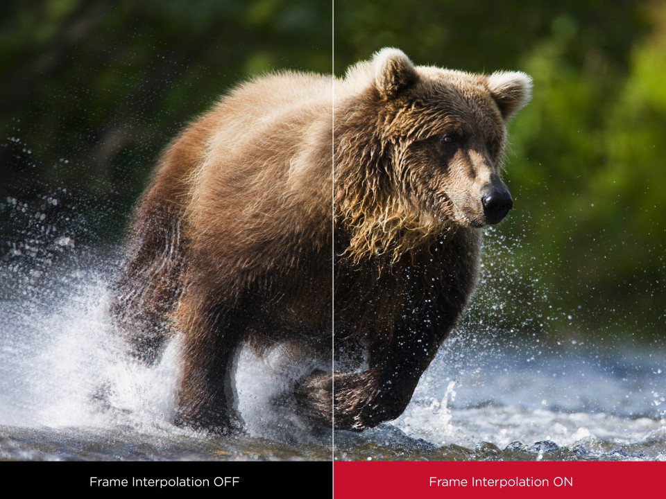 14 viewsonic projector ultra short focus