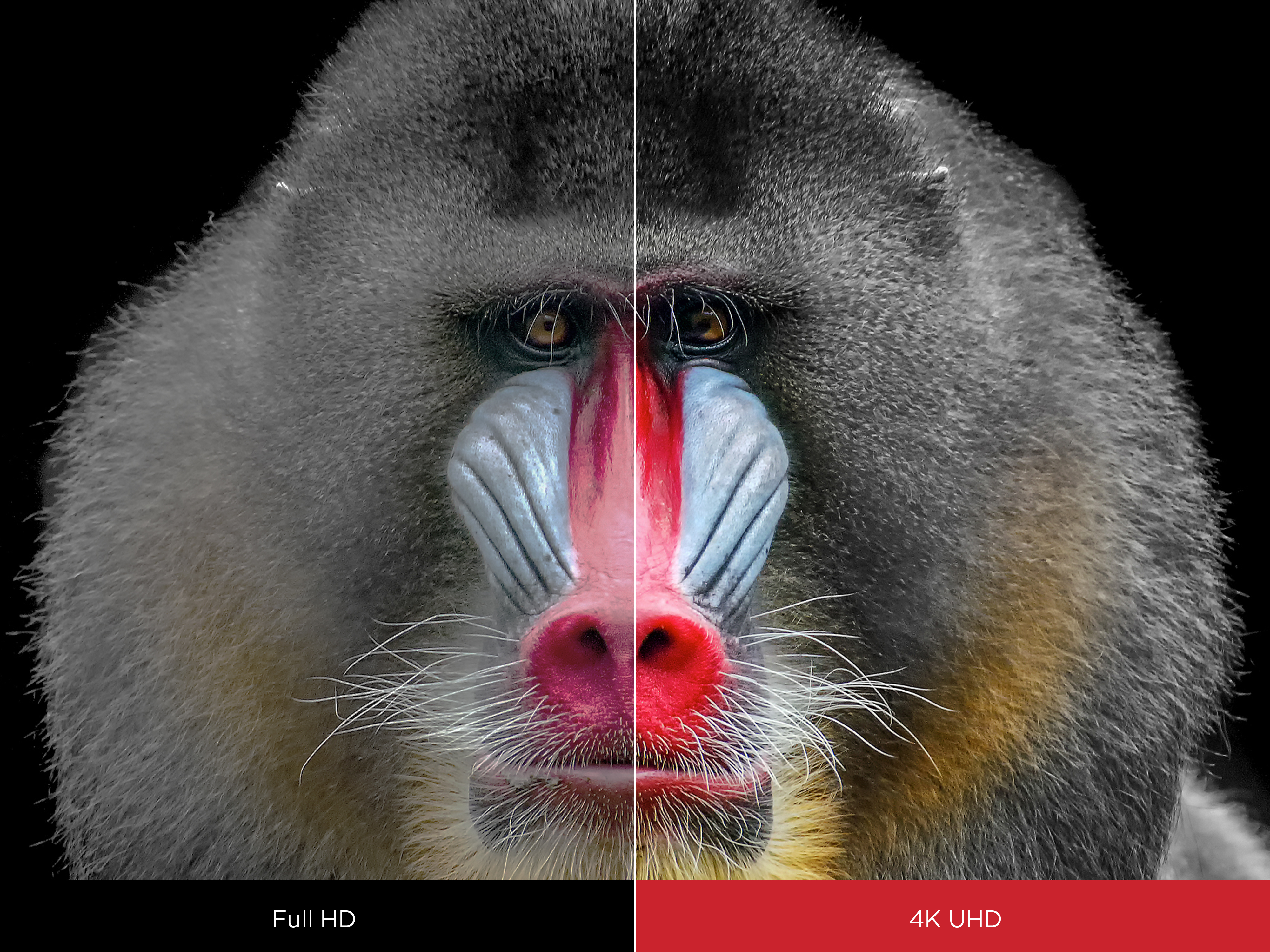 2 viewsonic projector ultra short focus