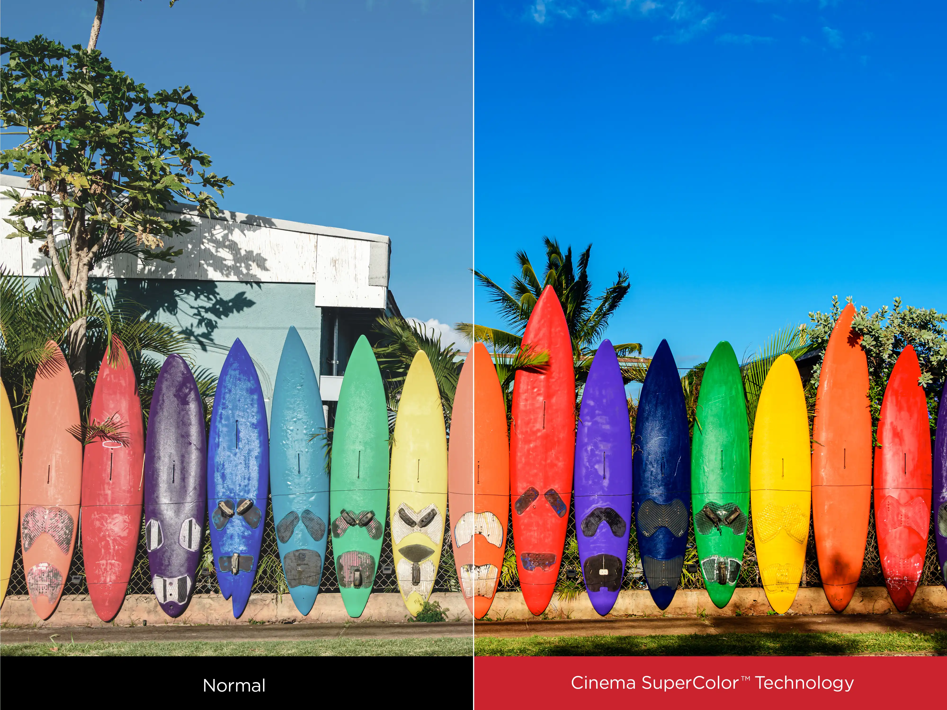 7 viewsonic projector ultra short focus