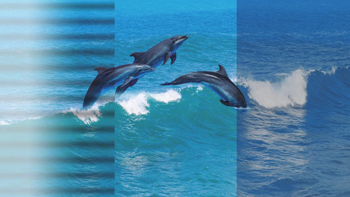 9 vivitek interactive display bk