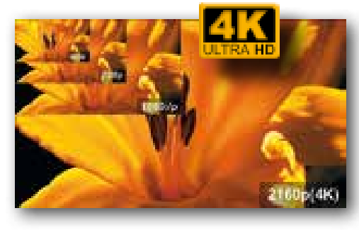 17 elmo document camera