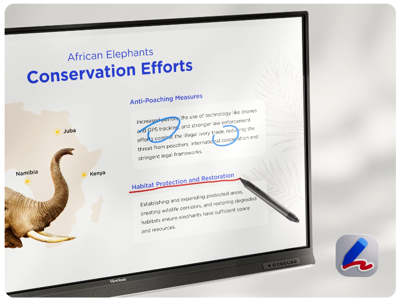 Interaktyvna panel ViewSonic